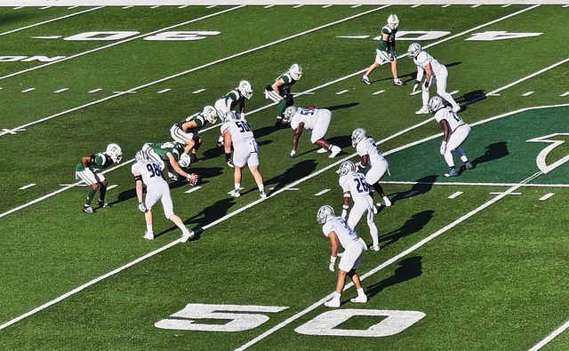 律滨联赛的 律滨联赛的