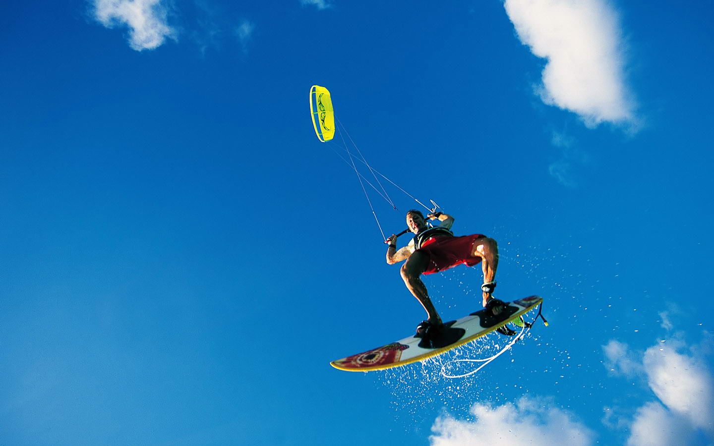 发挥了作用 发挥了作用