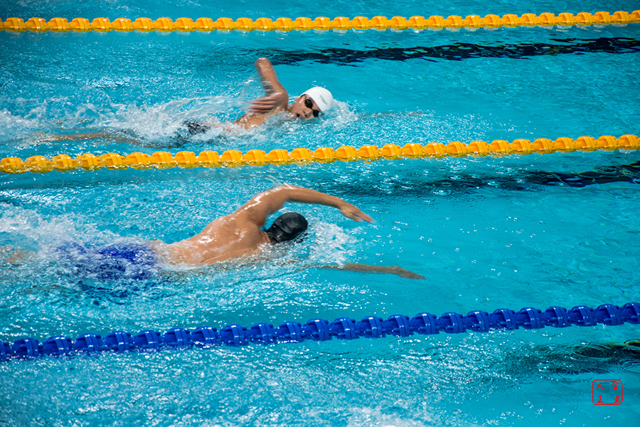 开始蓬勃发 开始蓬勃发